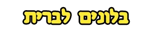 בלונים לברית